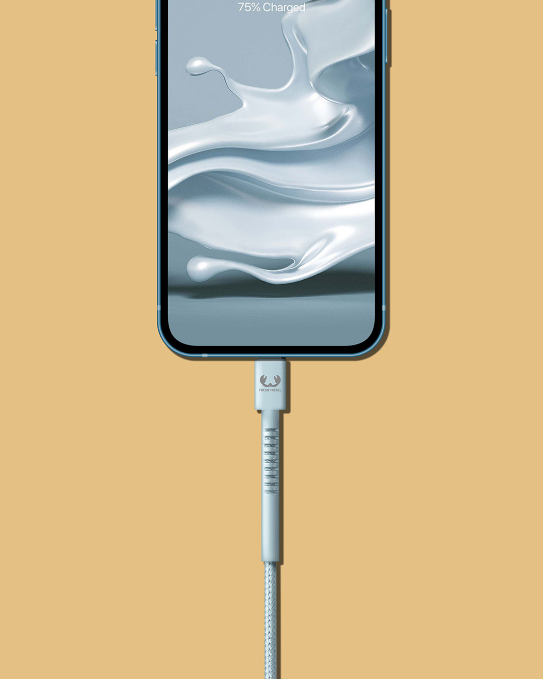 USB to Lightning
