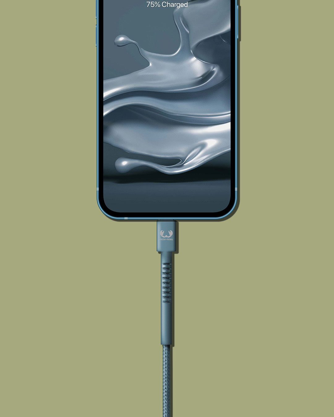 USB-C to Lightning