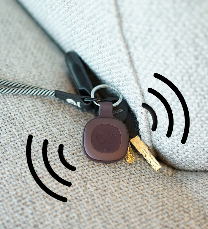 Fresh 'n Rebel - Smart Finders - Sound