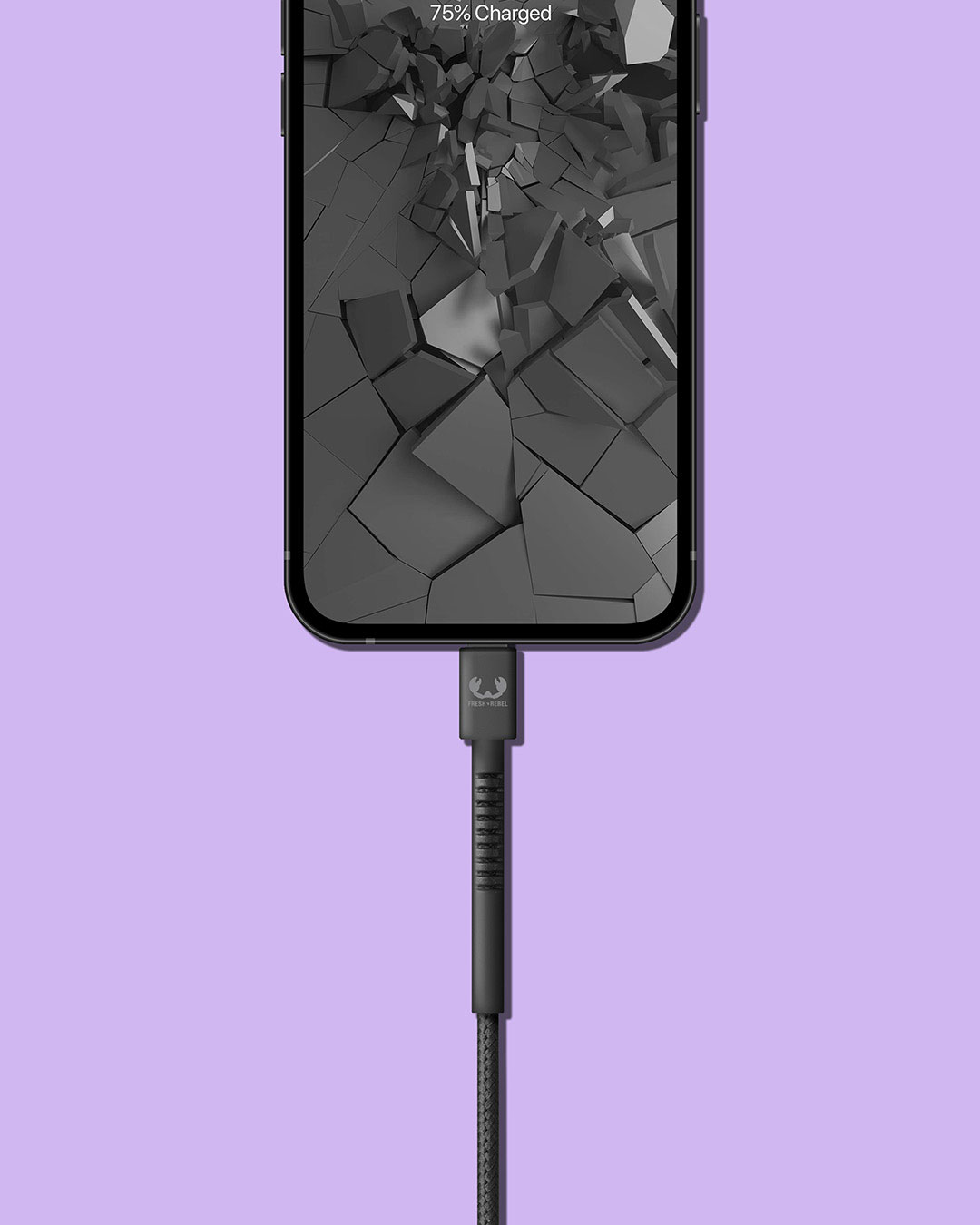 USB to Lightning