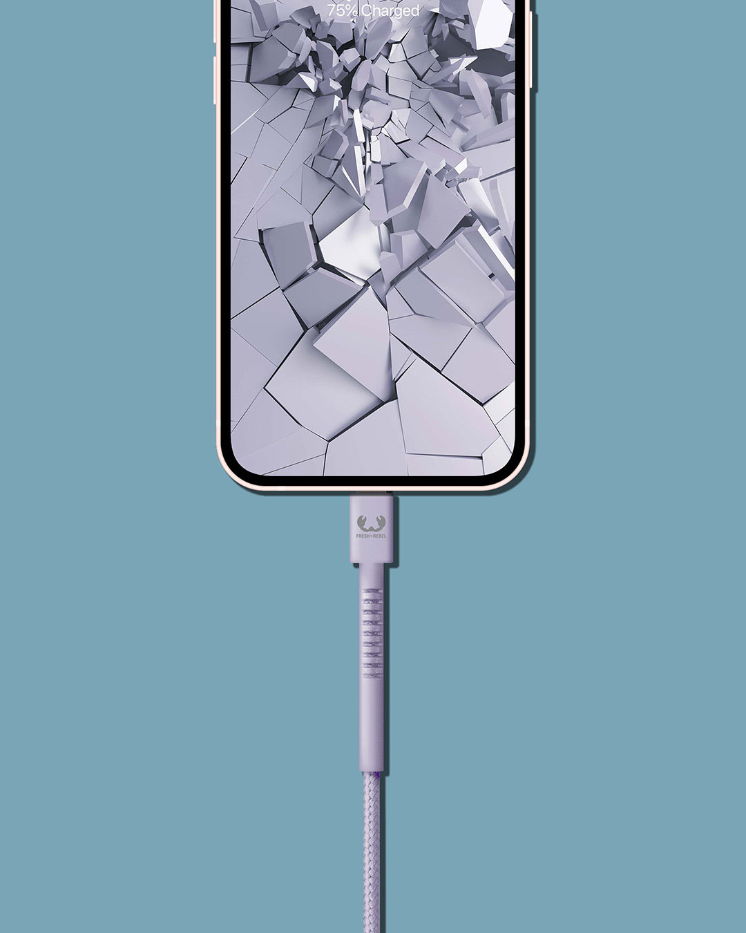 USB-C to Lightning