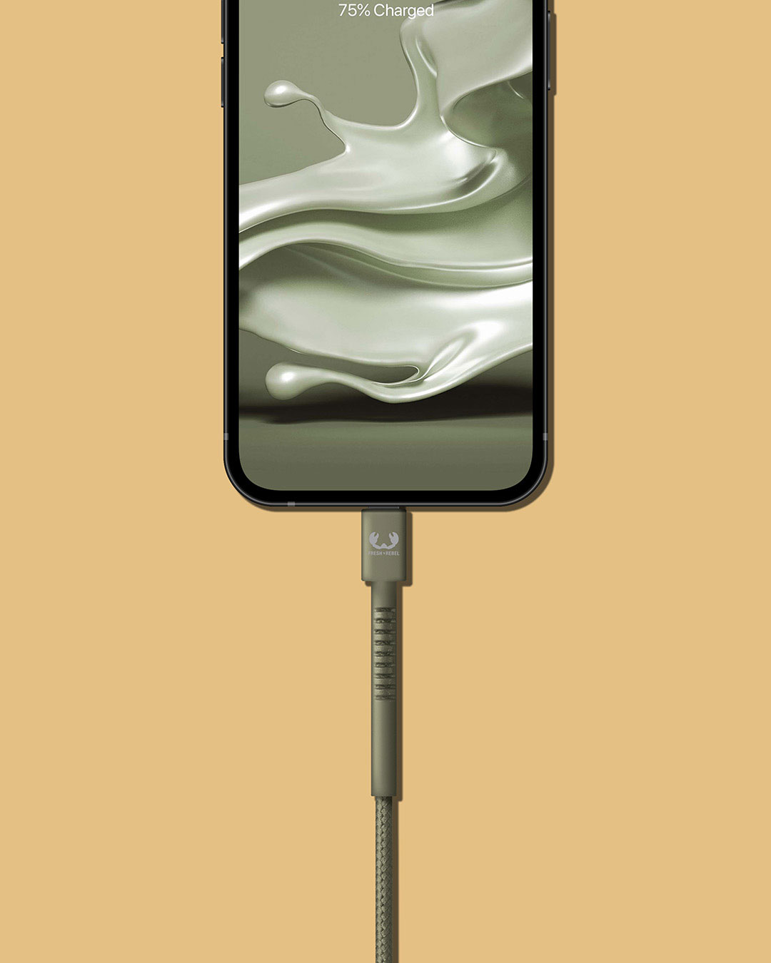 USB-C to Lightning
