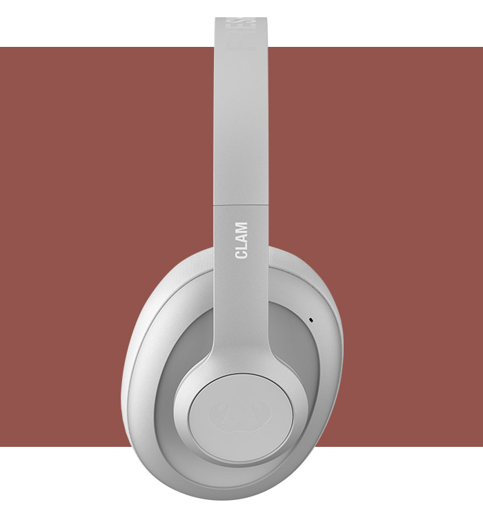 Fresh 'n Rebel - Clam Blaze - Microphone