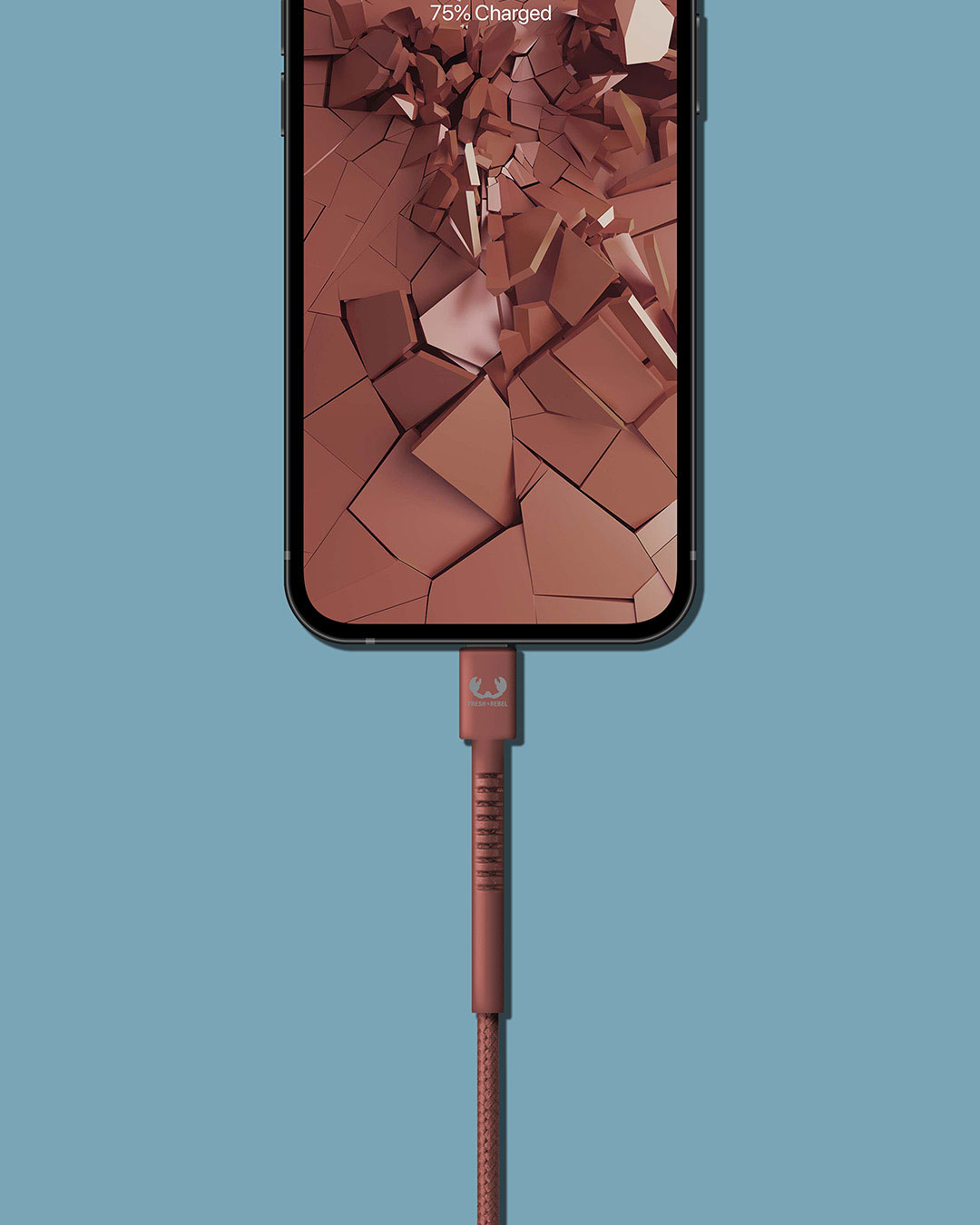 USB to Lightning