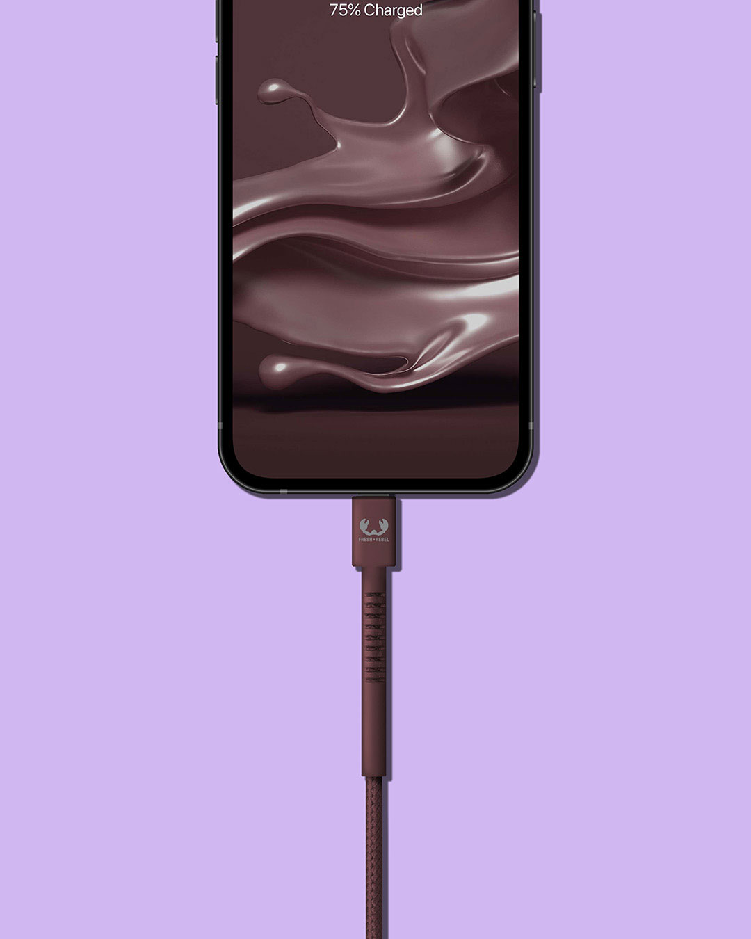 USB-C to Lightning